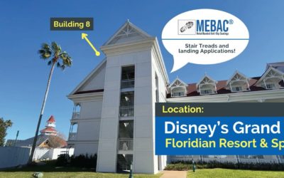Success Story: Disney’S Grand Floridian Resort & Spa Mebac® Project.